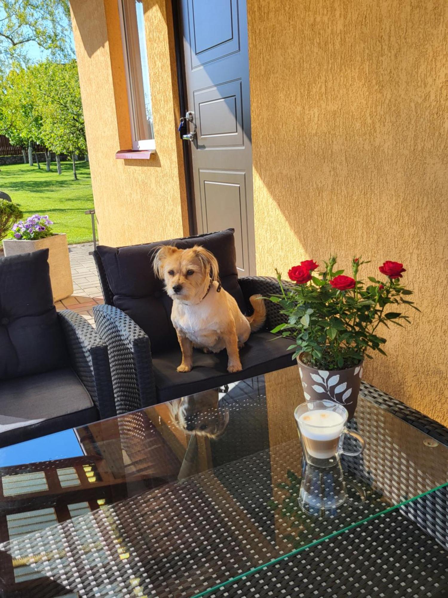 Namelis Rugile Apartment Druskininkai Luaran gambar